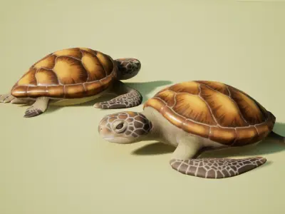 Sea turtle Low-poly 3D model 3