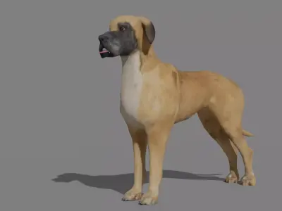 GREAT DANE Low-poly 3D model