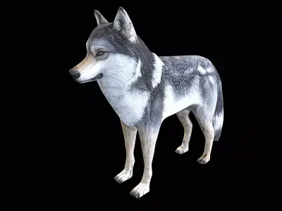 awesome wolf 3D model