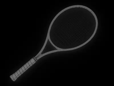 Tennis Raquet 3D Model Babolat Low-poly 3D model