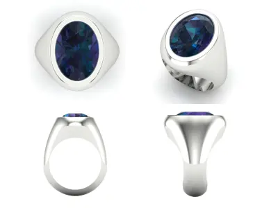 Ring bi89 3D print model