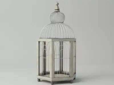 Hexi Decorative Cage by ZARA HOME 3D model
