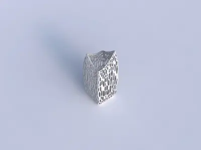 Vase double arc rectangle with fine organic lattice 3D print model
