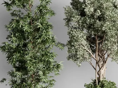 Indoor Plants in kristal - luxury of homes Pot 471 3D model