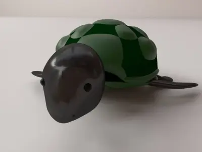 Cartoon Turtle 3D model