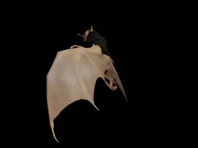 Animated Bat Low-poly 3D model