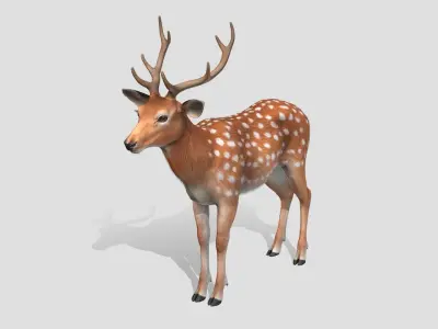 Deer - Stag Low-poly 3D model
