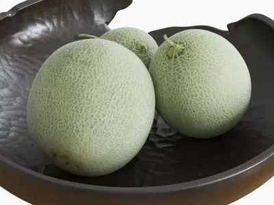Cracked Bowl With Melons 3D model