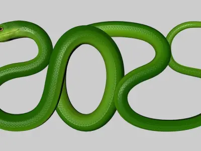 Green Snake 3D model