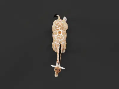 Reticulated Giraffe 3D model