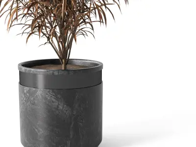Indoor Plant Set 01 3D model purchase