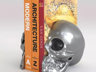 Skulls silver skull 3D model