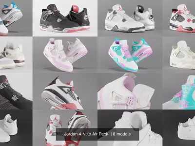 Jordan 4 Nike Air Pack 