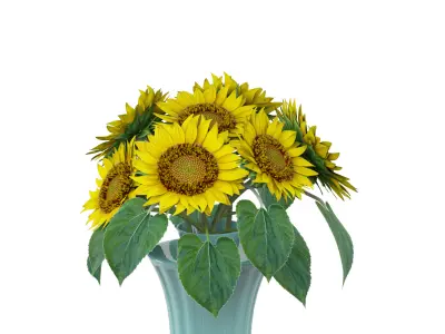 Sunflowers in a vase 3D model