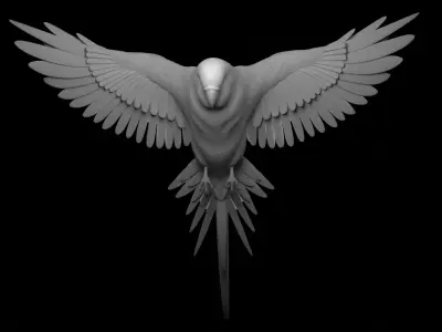 parrot 3D print model