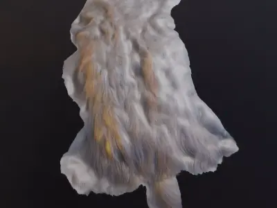 animal pelts volume three Unreal and Unity Low-poly 3D model