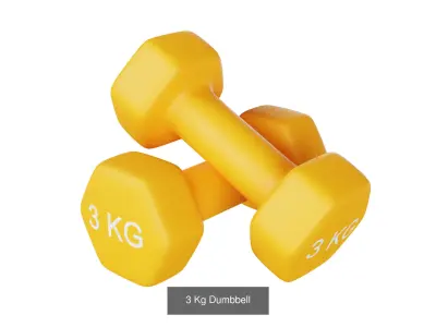Dumbbells 1 2 3 and 4 KG 3D Model Pack