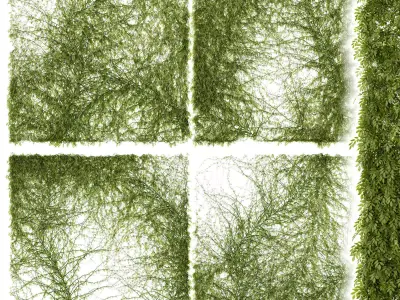 Leaves for walls 3D model