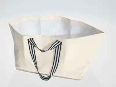 3d bag for interior scene 3D model