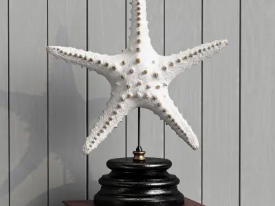 Decor Set 5 starfish 3D model