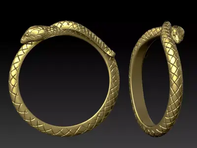 Snake Ring  Earring Jewelry Set 3D Model 3D print model