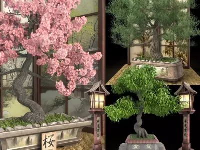 Bonsai set  sakura coniferous deciduous 3D model