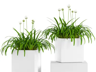 Plants collection 15 3D model purchase
