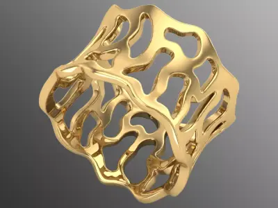 Ring shp4 3D print model