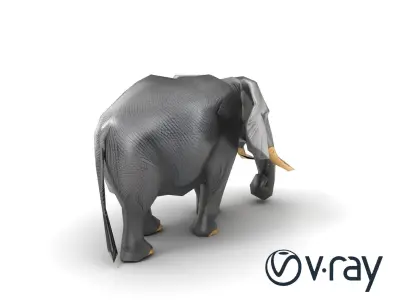 Majestic African Elephant 3D model pack Low-poly 3D model