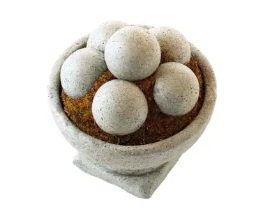 Hand Cast Hypertufa Centerpiece with Preserved Moss   3D model