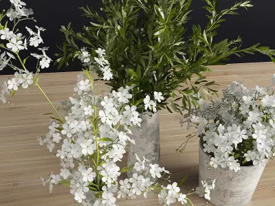 Plants Set three concrete vases with flowers 3D model