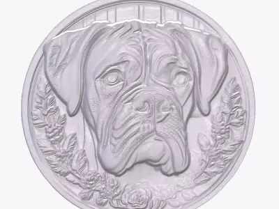 Boxer 3 basrelief for 3D printing 3D print model