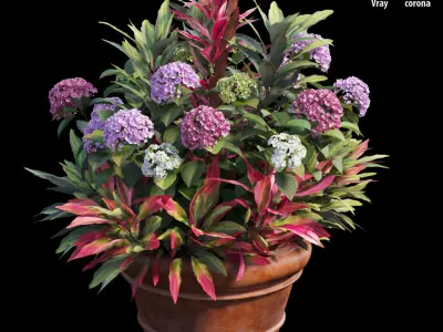Hydrangea in planters set 07 3D model