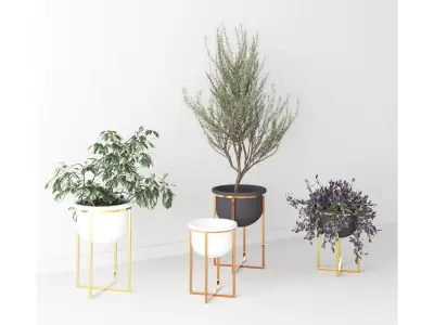 Interior Plants Trio Low-poly 3D model