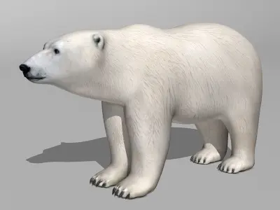 Polar Bear 3D model