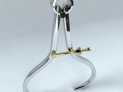 Caliper pair of scissors 3D model