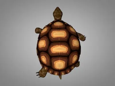 Turtle Low-poly 3D model