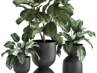 Houseplants in a pot for the interior 876 3D model