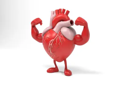 Strong heart Low-poly 3D model