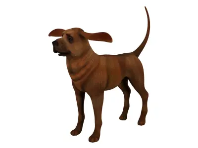 dog  rig  high-poly  textured 3D model