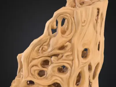 carved driftwood staircase 3D print model
