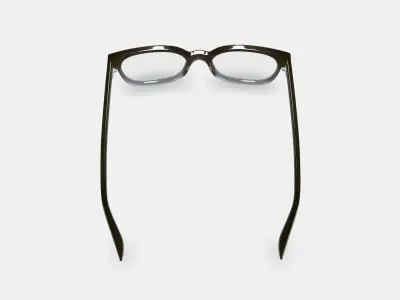 Hector Eyeglasses in Driftwood Fade 3D model