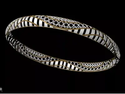 1173 Perfora Halo Bangle 5gm 3D print model