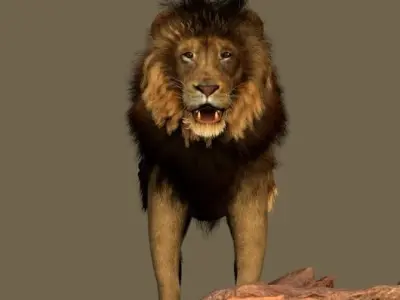 Lion King 3D model