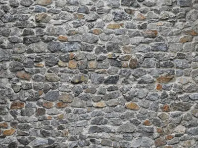 Environment Texture Free 3D model