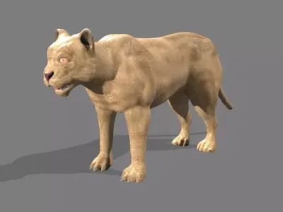 Lioness lion 3D model buy