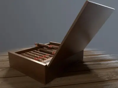 Cigars Box Low-poly 3D model