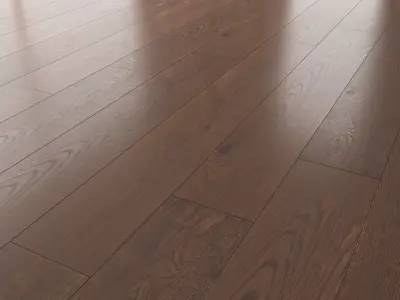 Wood Floor Oak Seal Brown WWL 3D model