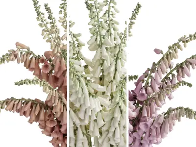 Flower In Vase 106 3D model