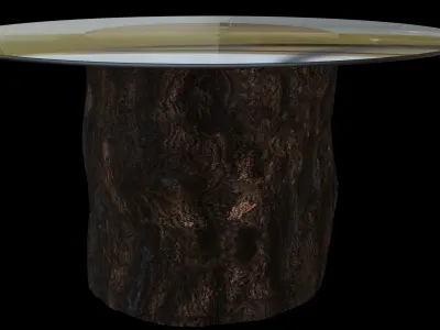 Tree Stump Glass Coffee Table 3D model